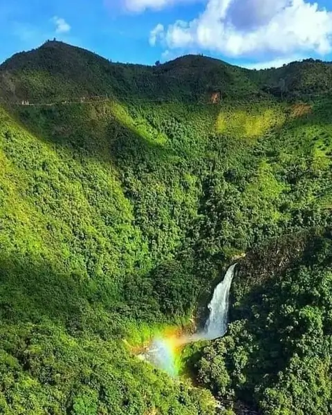 Cascada entre la selva con un arcoíris