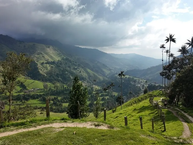 Valle de Cocora con palmas de cera y montañas cubiertas de niebla